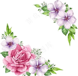 手绘花朵素材图片