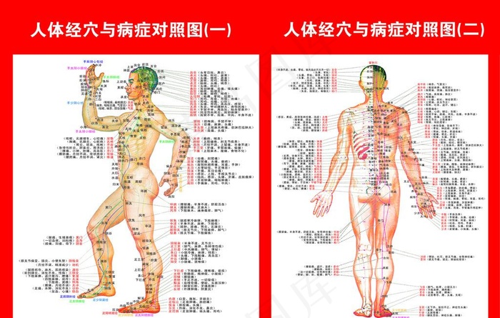 人体经穴与病症对照图图片(7795X5197(DPI:120))psd模版下载