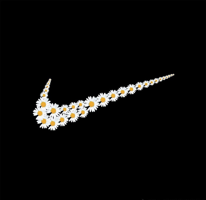 NK雏菊图片(7340X3139(DPI:299))psd模版下载