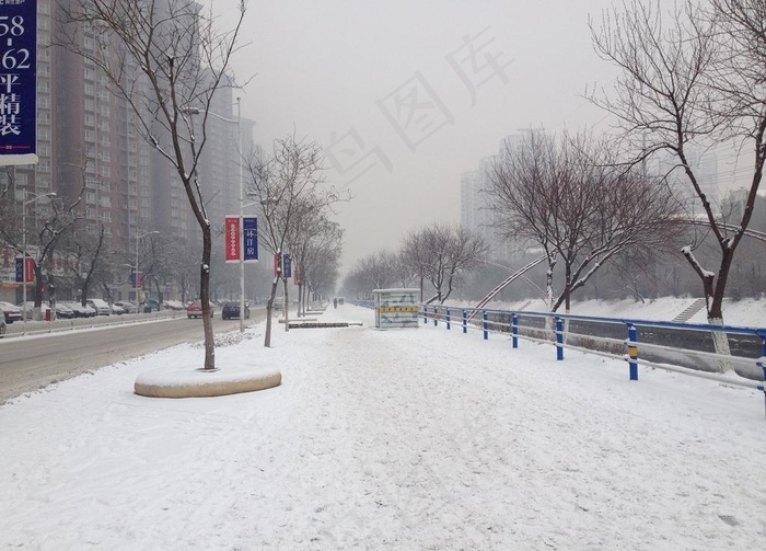 冬日雪景 马路图片