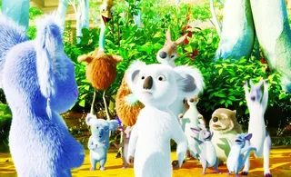 树袋熊  动画片   树木图片