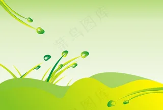 绿色模板 dm单图片