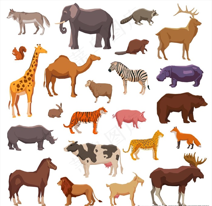 卡通动物插画设计图片