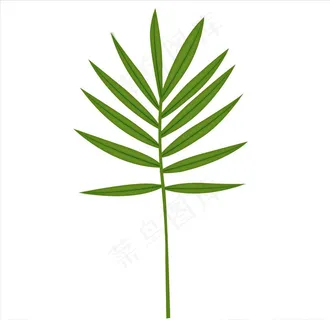 手绘卡通绿色叶子树叶png插画图片