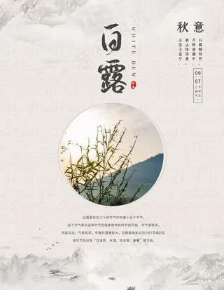 白露图片