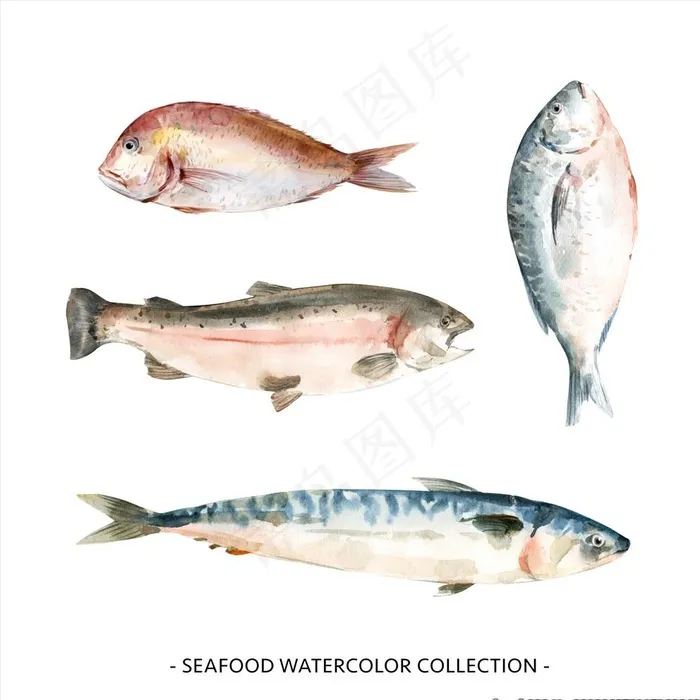 手绘鱼图片ai矢量模版下载