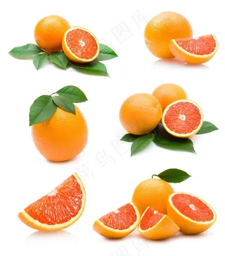 血橙 香橙 橙子图片