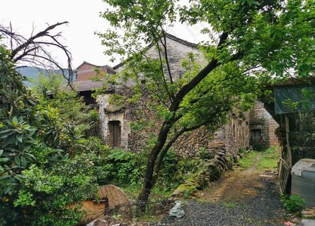 树后的老房子图片
