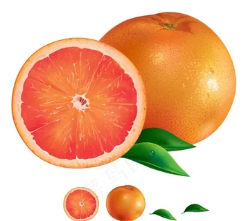 红橙图片