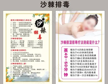 沙棘排毒展板海报图片