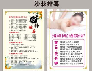 沙棘排毒展板海报图片