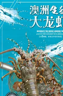 澳洲大龙虾图片 澳洲大龙虾图片