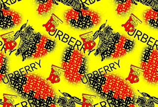 大牌 数码印花图片