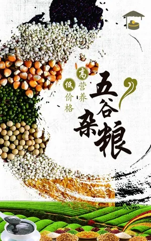五谷杂粮海报图片