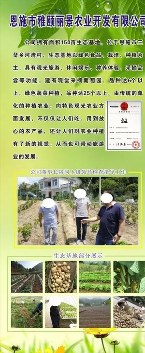 绿色农业生态展架图片