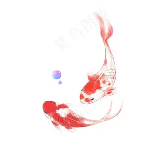 鱼儿图片 鱼儿图片