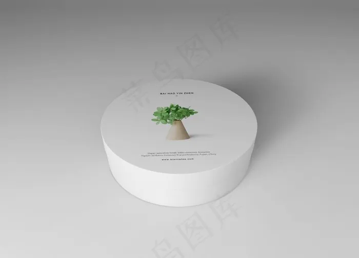 茶包装样机图片(3000X2250(DPI:72))psd模版下载