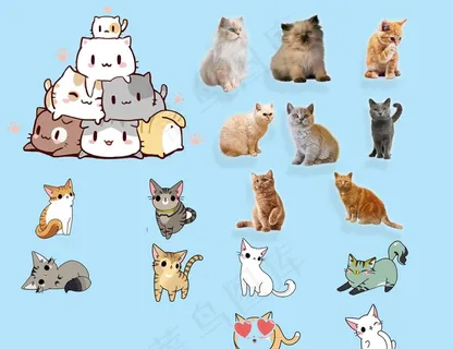 猫咪图片