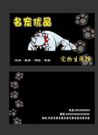 宠物店名片图片