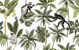 热带植物清新印花图片