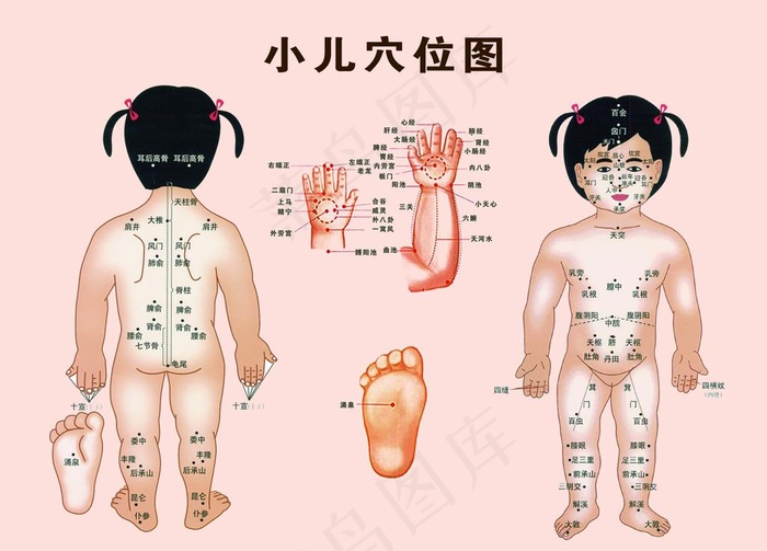 小儿穴位图图片