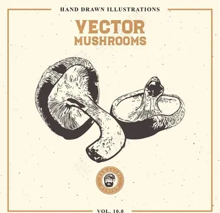 素描菌菇图片