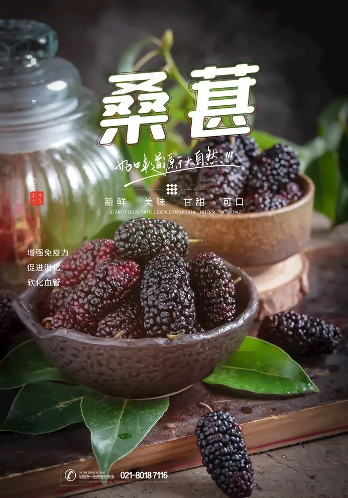 桑葚图片(2362X3491(DPI:100))psd模版下载