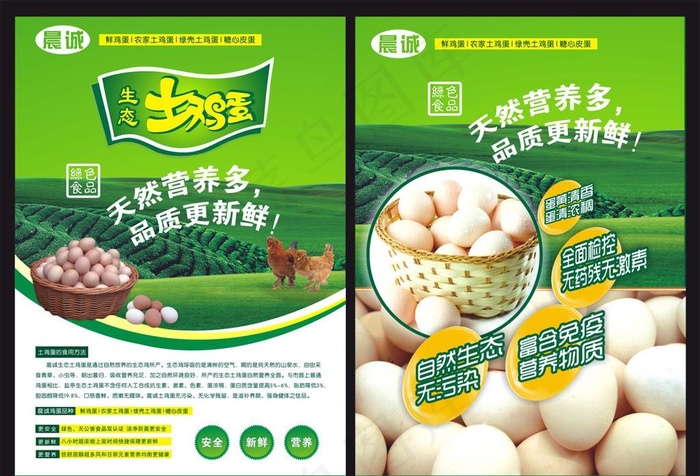 鸡蛋宣传单页图片(210X297)cdr矢量模版下载