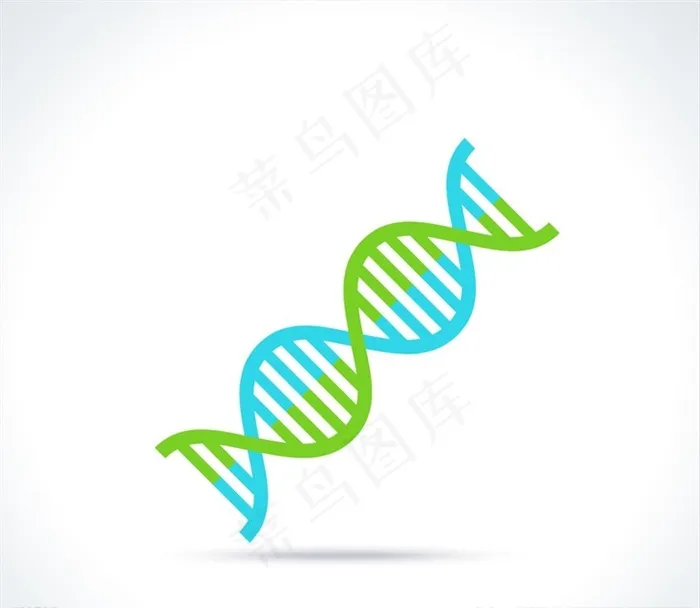 分子结构图片
