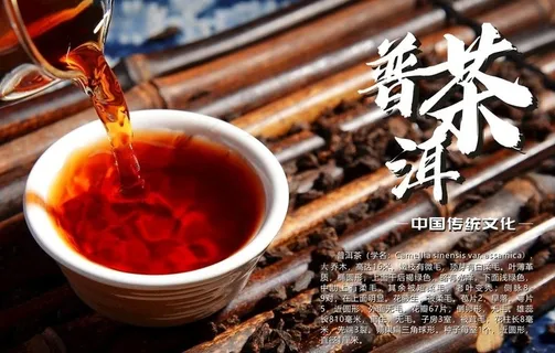 普洱茶图片 普洱茶图片