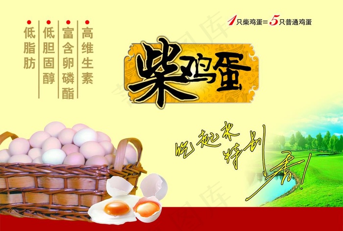 柴鸡蛋图片