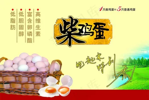 柴鸡蛋图片