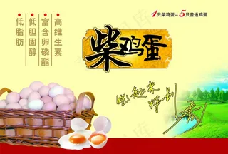 柴鸡蛋图片