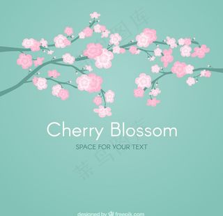 清新梅花桃花图片