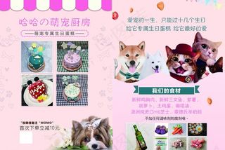 宠物蛋糕宣传单图片