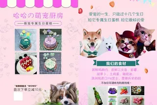 宠物蛋糕宣传单图片