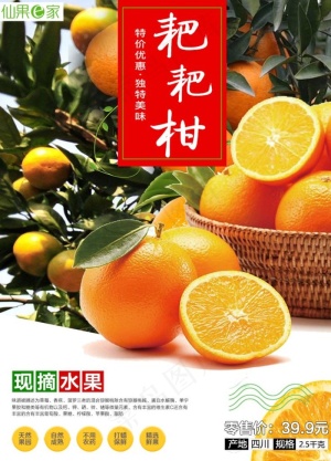 耙耙柑图片