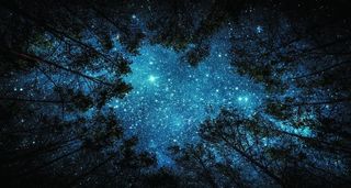 森林星空夜景树林装饰背景图片