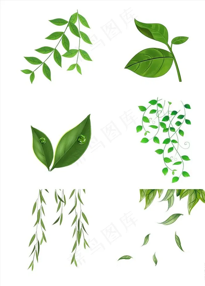 树叶图片psd模版下载