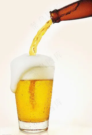 啤酒图片