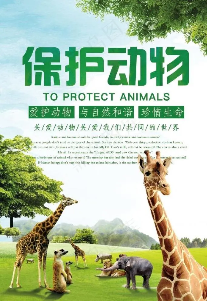 保护动物图片(1701X2551(DPI:72))psd模版下载