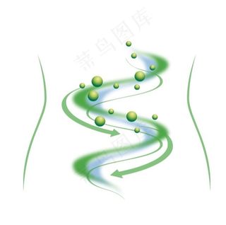 消化肠道消化系统肠胃图片