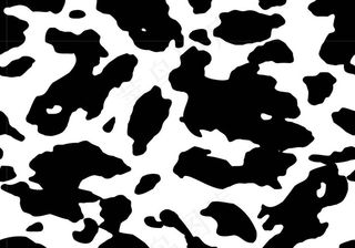 黑白豹纹背景底纹图片