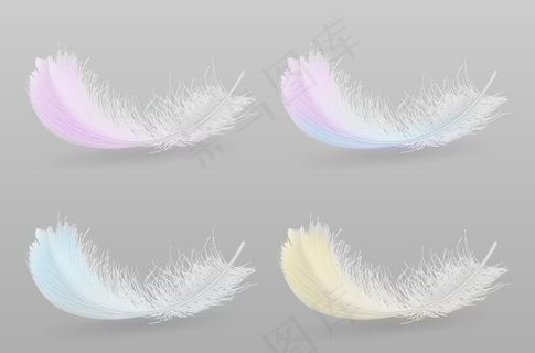 羽毛图片