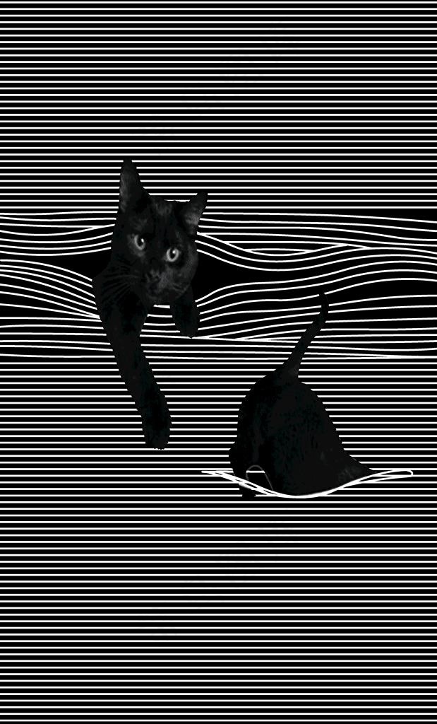 猫咪 数码印花图片