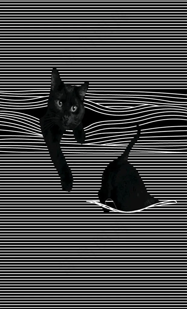 猫咪 数码印花图片