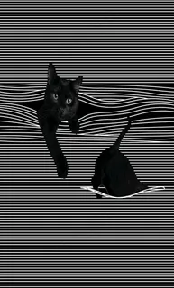 猫咪 数码印花图片