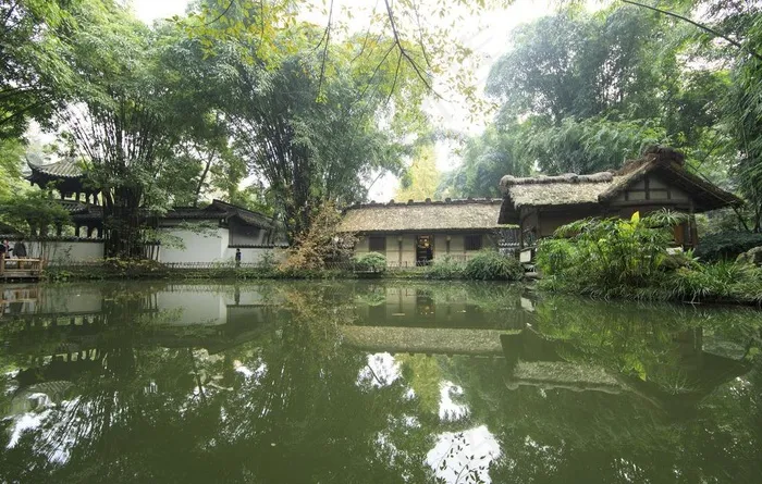 竹林公园图片
