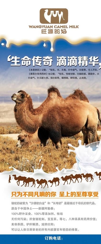 骆驼奶展架图片(2268X5102(DPI:72))psd模版下载