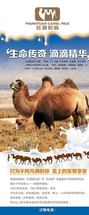 骆驼奶展架图片
